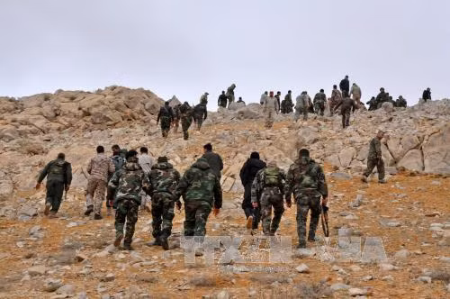 Quân đội Syria sẵn sàng ngừng bắn để điều tra tấn công hóa học ảnh 1