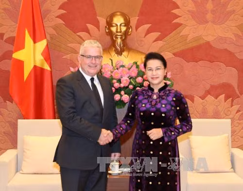 Chủ tịch Quốc hội tiếp Đại sứ Australia và Đại sứ New Zealand ảnh 1