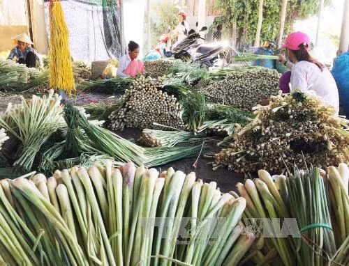 Bốn tỉnh duyên hải phía Đông Nam Bộ tìm cơ hội liên kết phát triển ảnh 1
