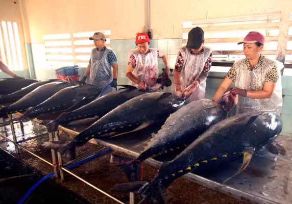 Khởi sắc ở địa phương đầu tiên được giải phóng ảnh 2