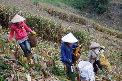 Thành lập huyện Vân Hồ, tỉnh Sơn La ảnh 1