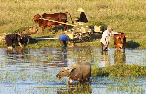 Về vụ kích động, gây rối ở xã Nghi Phương, Nghệ An - Bài cuối: Nghệ An - Những miền quê 'tốt đời đẹp đạo' ảnh 2