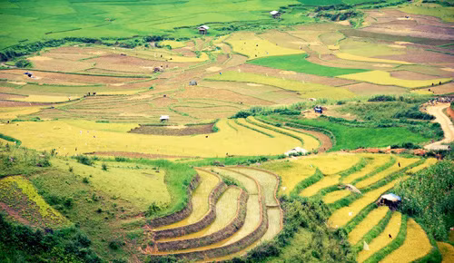 Nên thơ ruộng bậc thang Tủa Chùa ảnh 6