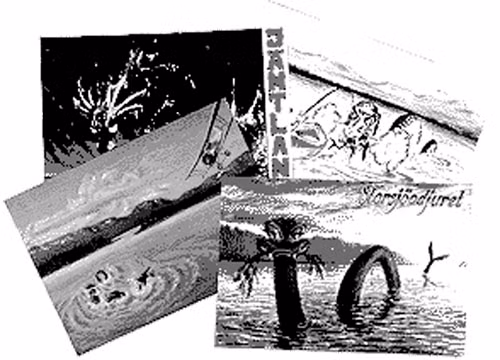 Quái vật hồ Storsjoe ảnh 4