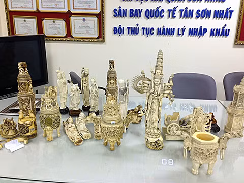  Phát hiện 21kg ngà voi châu Phi 'xuống' sân Tân Sơn Nhất ảnh 1