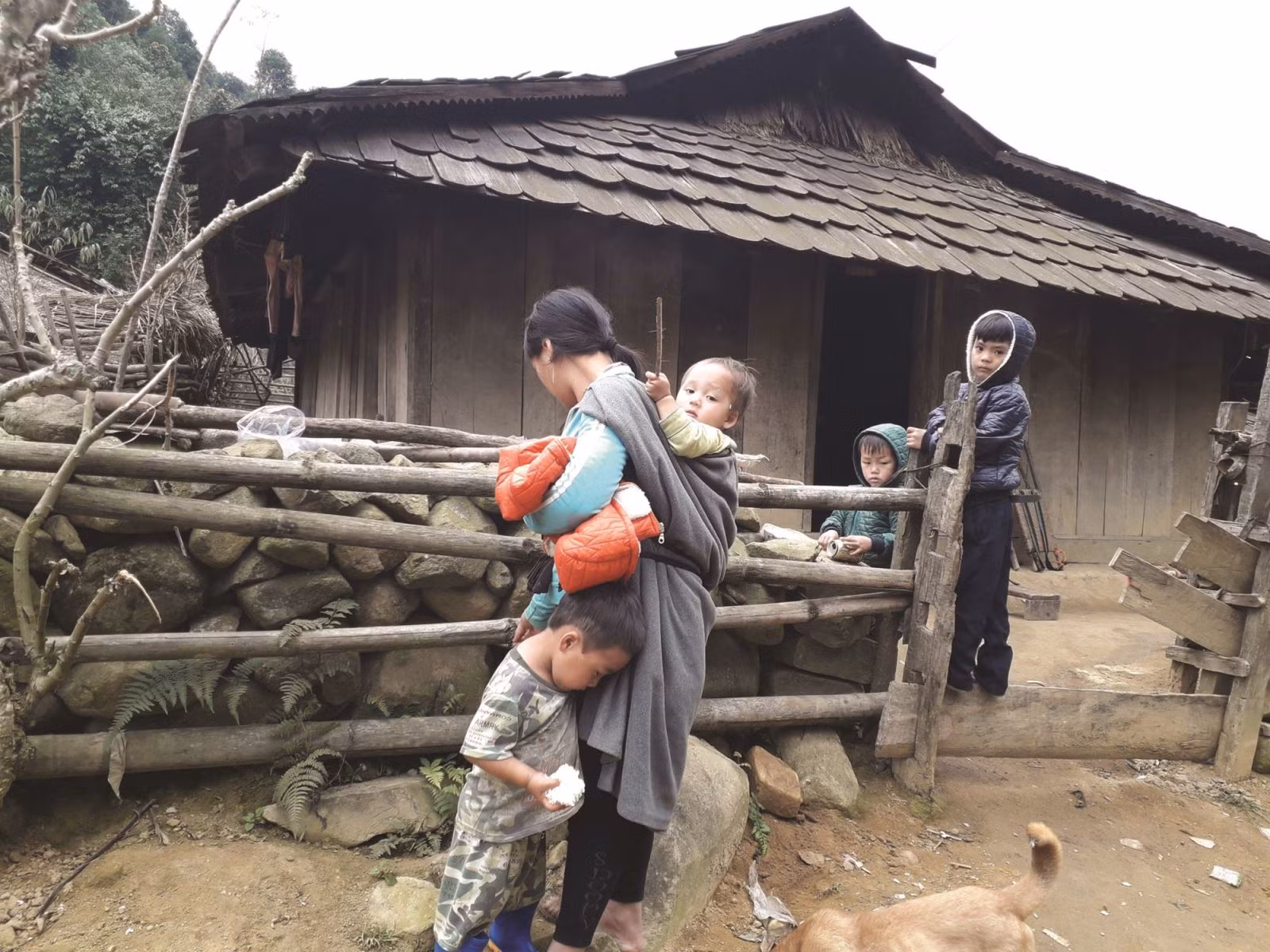 Chú thích ảnh