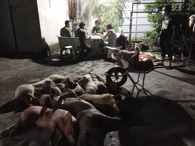 Chú thích ảnh
