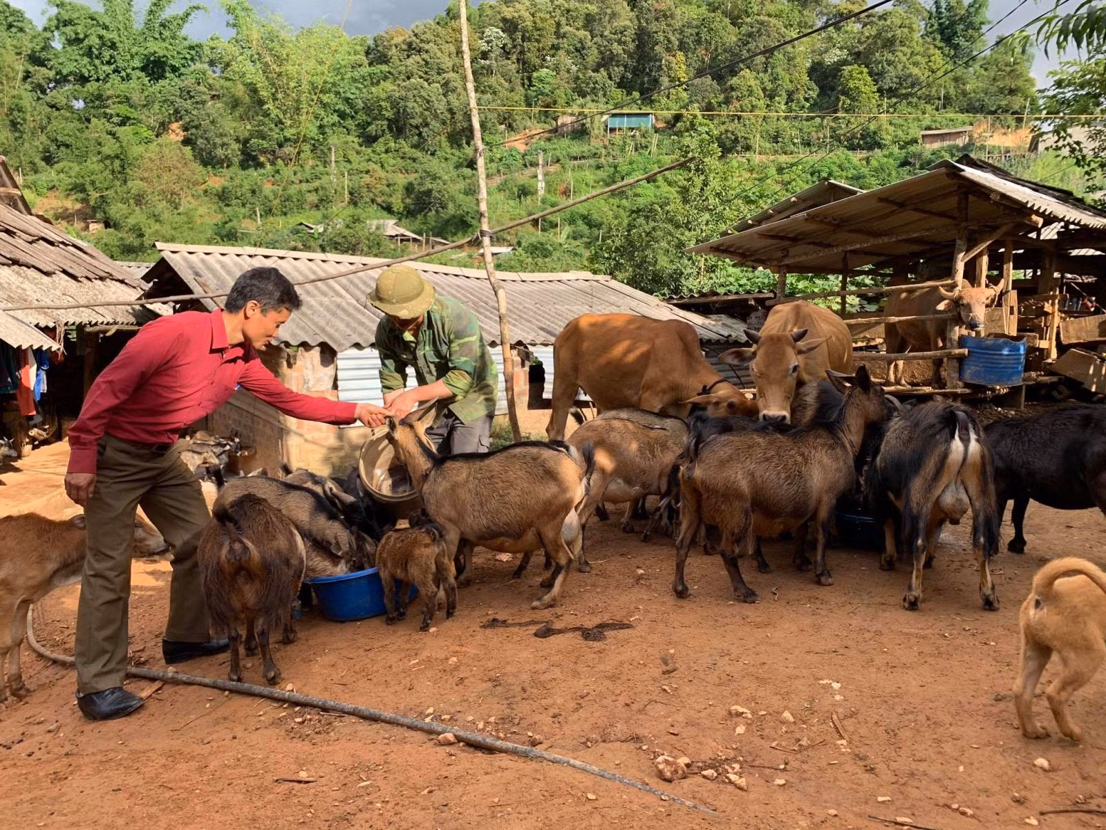 Chú thích ảnh