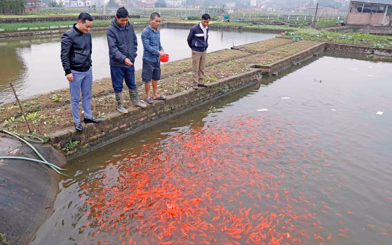 Chú thích ảnh