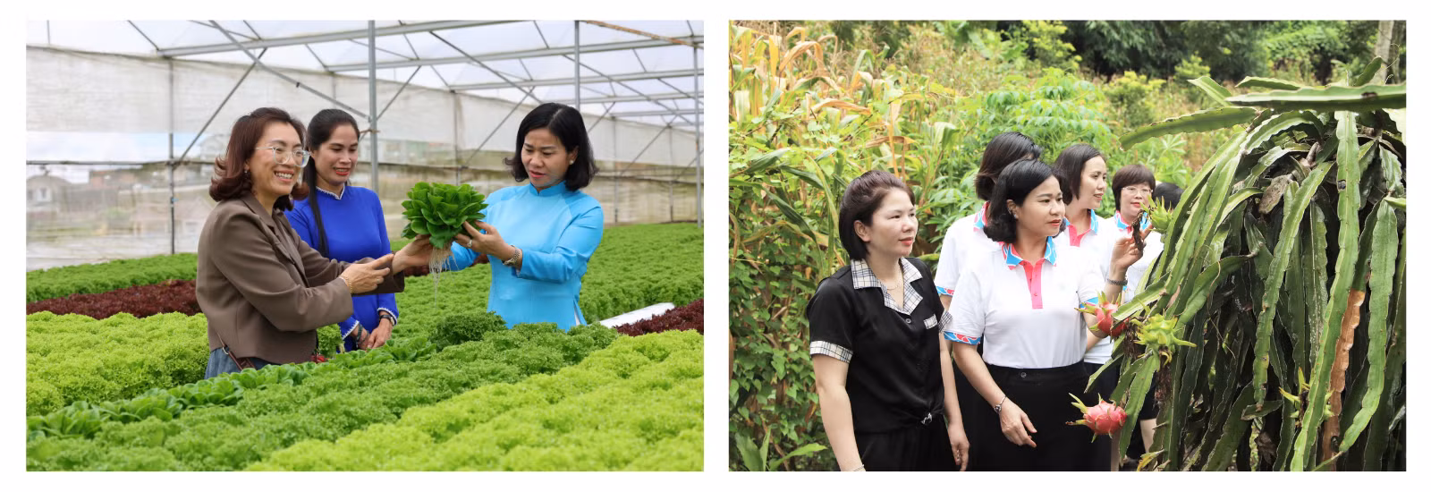 Hội Liên hiệp Phụ nữ Việt Nam luôn là điểm tựa, đồng hành và hỗ trợ phụ nữ trong hành trình khởi nghiệp, phát triển kinh tế, góp phần nâng cao vị thế và vai trò của phụ nữ trong đời sống hiện đại.