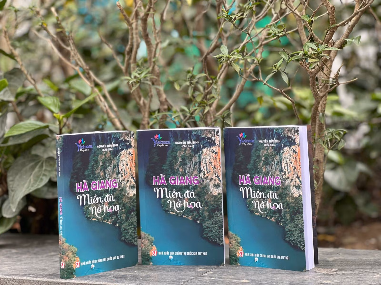 Chú thích ảnh