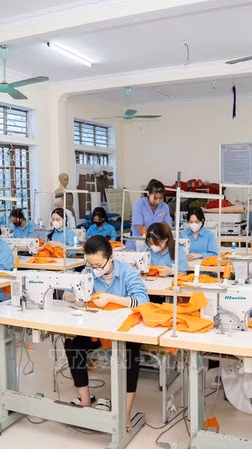 Có thể học nghề ngay tại doanh nghiệp, hợp tác xã, nơi sản xuất