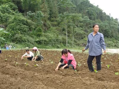 Phát triển đảng viên nữ người dân tộc thiểu số ảnh 1