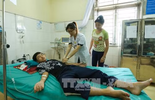 Hy hữu 11 học sinh cùng lớp nhập viện do bị ong đốt ảnh 1