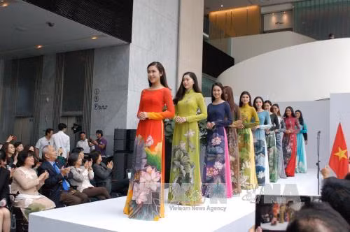 Khán giả Seoul say đắm trước tà áo dài truyền thống Việt Nam ảnh 1