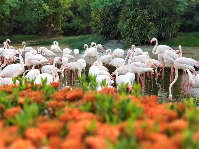 Khám phá 'Thế giới tinh nghịch' của muông thú ở Wanpi Safari ảnh 1