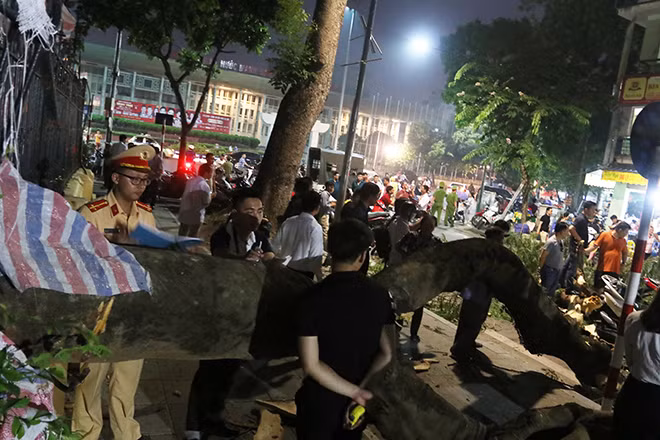 Cây phượng bất ngờ đổ ngang đường, đè trúng 2 người lớn, 1 trẻ em ảnh 2