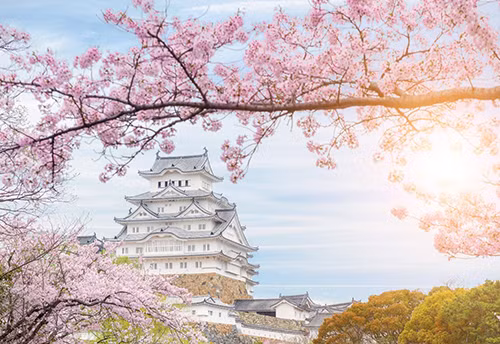 1 triệu vé Vietjet giờ vàng, chào đường bay mới đến Osaka và Siem Reap ảnh 1