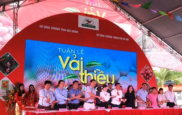 Lô hàng vải thiều đầu tiên năm 2018 sẵn sàng lên đường sang Thái Lan ảnh 3