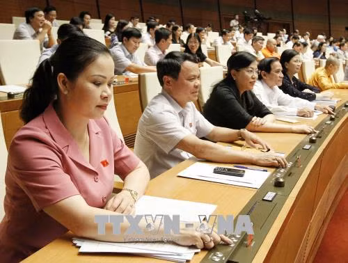 Biểu quyết thông qua dự thảo Luật Đo đạc và bản đồ ảnh 2