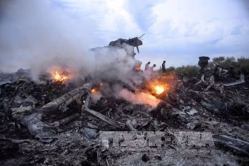 Công bố thủ phạm vụ MH17 muộn nhất vào 2018 ảnh 1