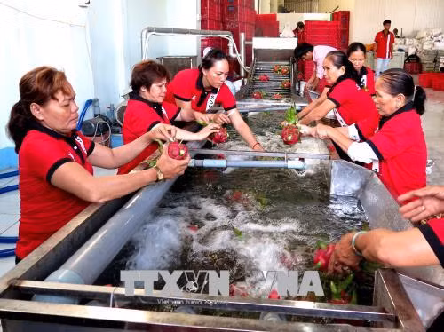 Thay đổi tư duy trong sản xuất nông nghiệp - Bài 2: Cần nhiều giải pháp đồng bộ ảnh 1