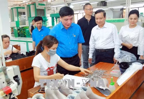 Cần tăng cường đối thoại, đảm bảo quyền lợi người lao động ảnh 1