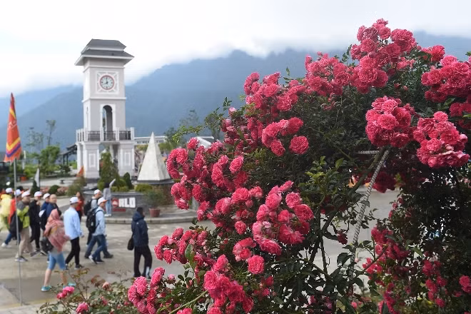 Nhanh chân đến Sun World Fansipan Legend để giải nhiệt cơn khát mùa hè ảnh 5