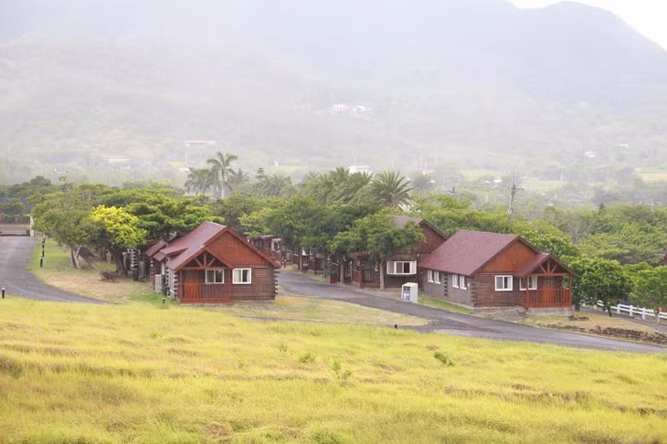 Chốn thanh bình trong những ngôi nhà gỗ quanh năm bốn mùa xuân ảnh 3