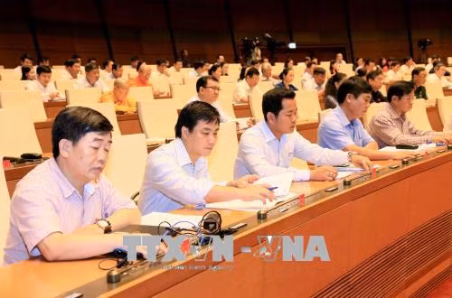 Thể hiện trách nhiệm của đại biểu Quốc hội với cử tri và nhân dân ảnh 1