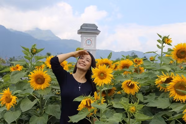 Lạc bước chẳng muốn về ở đồi hoa hướng dương khổng lồ tại chân núi Fansipan ảnh 3