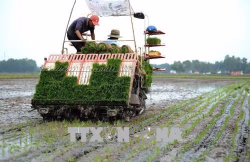 Thay đổi tư duy trong sản xuất nông nghiệp - Bài 2: Cần nhiều giải pháp đồng bộ ảnh 2