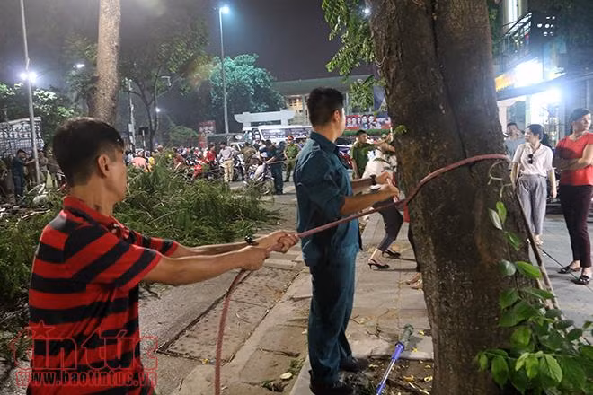 Cây đổ đè 5 người bị thương trên phố Quán Sứ ảnh 4