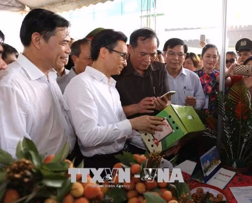 Lần đầu tiên Hải Dương tổ chức lễ hội vải thiều ảnh 2