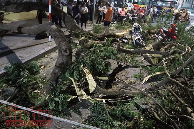 Cây đổ đè 5 người bị thương trên phố Quán Sứ ảnh 6