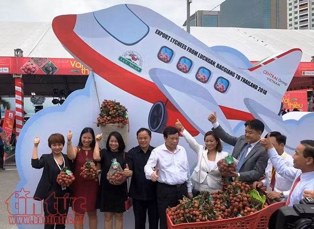 Lô hàng vải thiều đầu tiên năm 2018 sẵn sàng lên đường sang Thái Lan ảnh 1