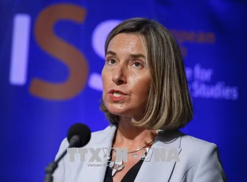 EU hoan nghênh 'lệnh ngừng bắn lịch sử' ở Afghanistan ảnh 1
