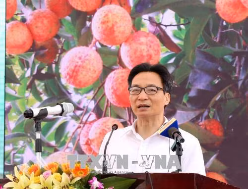 Lần đầu tiên Hải Dương tổ chức lễ hội vải thiều ảnh 1