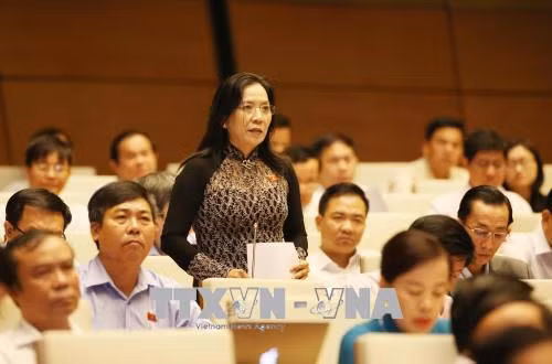 Băn khoăn về xử lý tài sản, thu nhập kê khai không trung thực ảnh 1