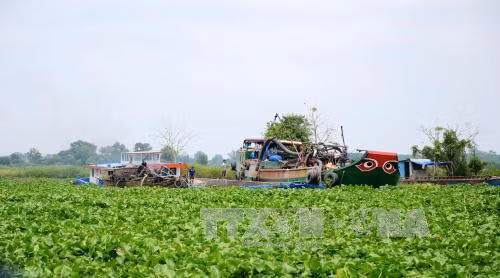 Khai thác cát trái phép gây sạt lở ven sông Vàm Cỏ Đông ảnh 1