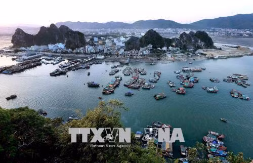 Hãy thể hiện tình yêu nước một cách sáng suốt! ảnh 1