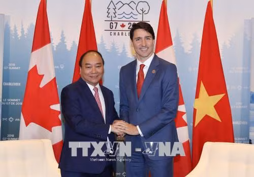 Thủ tướng Nguyễn Xuân Phúc hội đàm với Thủ tướng Canada Justin Trudeau ảnh 1