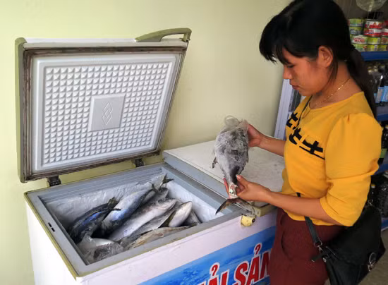 Khai thác, nuôi trồng thủy sản sau sự cố môi trường biển ảnh 2