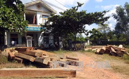 Khởi tố 2 vụ án phá rừng đầu nguồn ở Quảng Trị ảnh 1