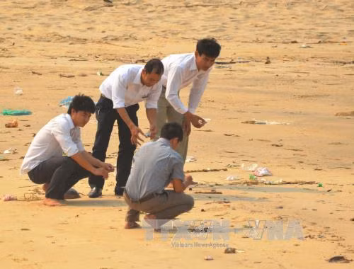 Người dân hoang mang khi cá chết hàng loạt ven biển ảnh 2