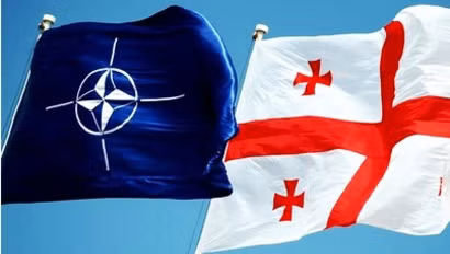 Gruzia chuẩn bị gia nhập NATO ảnh 1