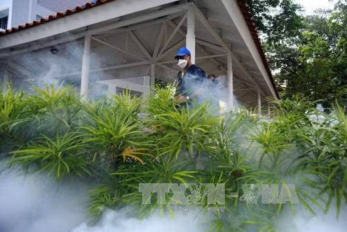 Malaysia thông báo ca đầu tiên nhiễm virus Zika trong nước ảnh 1