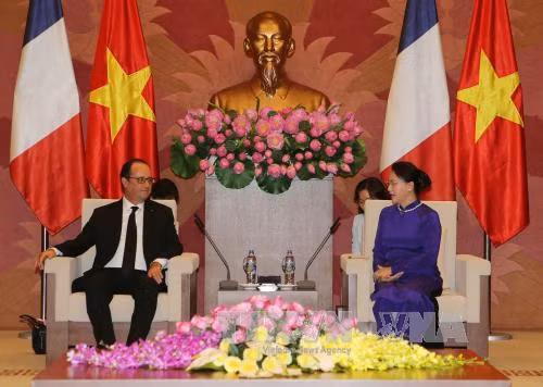 Chủ tịch Quốc hội hội kiến Tổng thống Pháp Hollande ảnh 2