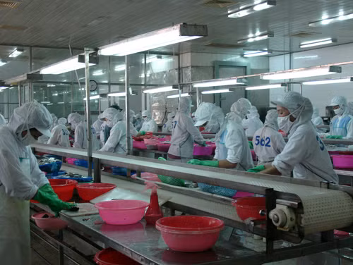 Khan hiếm nguyên liệu chế biến thủy sản ảnh 1