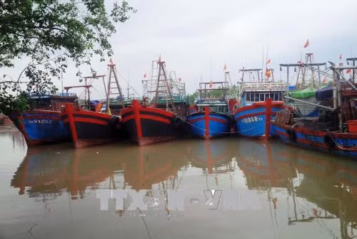 Các địa phương chủ động ứng phó với bão số 3 ảnh 2
